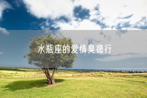 水瓶座的爱情臭德行(图1)