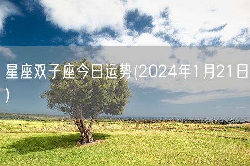 星座双子座今日运势(2024年1月21日) (图1)