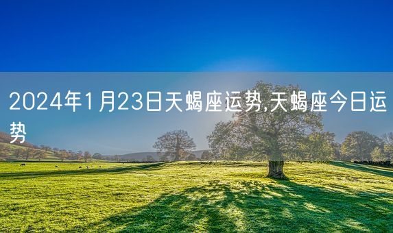 2024年1月23日天蝎座运势,天蝎座今日运势(图1)