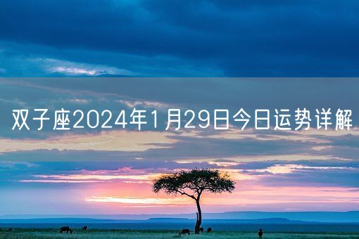 双子座2024年1月29日今日运势详解(图1)