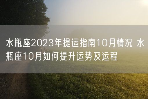 水瓶座2023年提运指南10月情况 水瓶座10月如何提升运势及运程(图1)