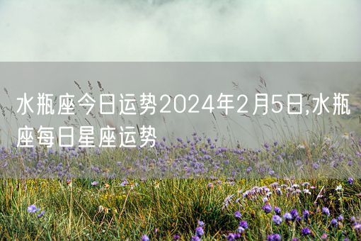 水瓶座今日运势2024年2月5日,水瓶座每日星座运势(图1)