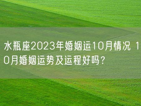 水瓶座2023年婚姻运10月情况 10月婚姻运势及运程好吗？(图1)