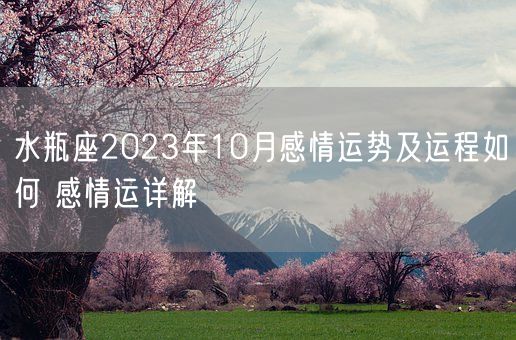 水瓶座2023年10月感情运势及运程如何 感情运详解(图1)