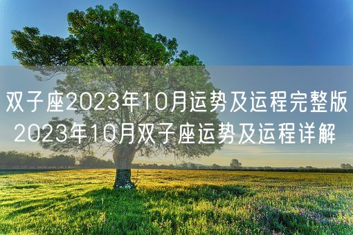 双子座2023年10月运势及运程完整版 2023年10月双子座运势及运程详解(图1)