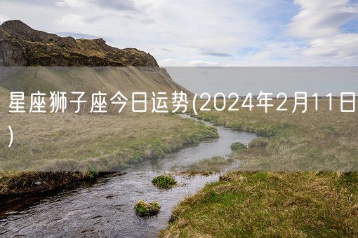 星座狮子座今日运势(2024年2月11日) (图1)