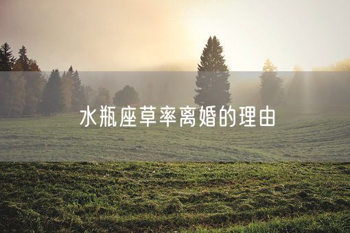 水瓶座草率离婚的理由(图1)