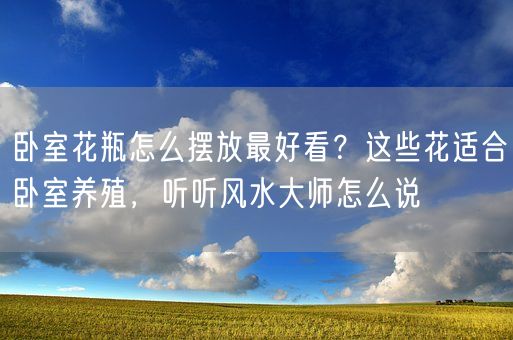 卧室花瓶怎么摆放最好看？这些花适合卧室养殖，听听风水大师怎么说(图1)