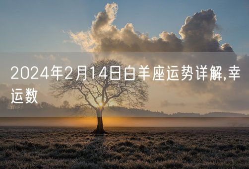 2024年2月14日白羊座运势详解,幸运数(图1)