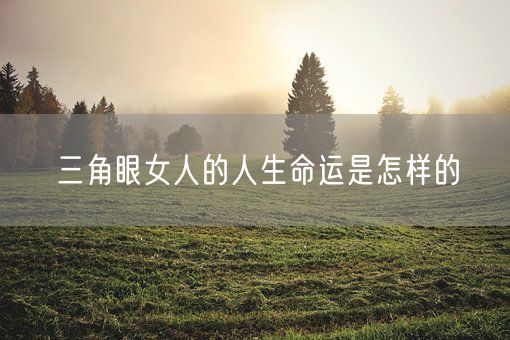 三角眼女人的人生命运是怎样的(图1)