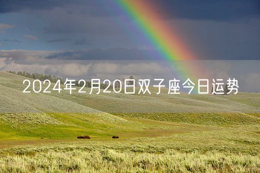 2024年2月20日双子座今日运势(图1)