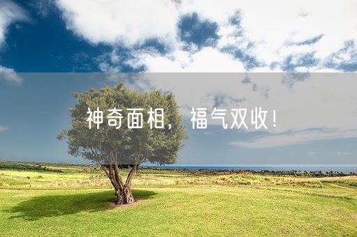 神奇面相，福气双收！(图1)