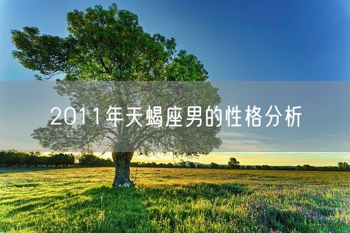 2011年天蝎座男的性格分析(图1)