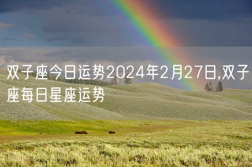 双子座今日运势2024年2月27日,双子座每日星座运势(图1)