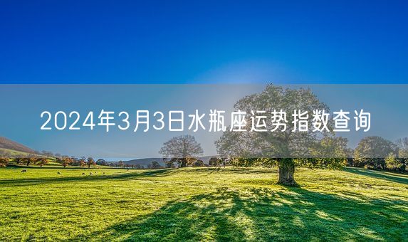 2024年3月3日水瓶座运势指数查询(图1)