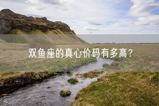双鱼座的真心价码有多高？(图1)