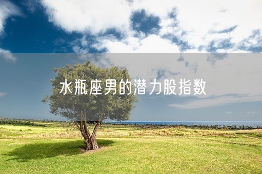 水瓶座男的潜力股指数(图1)