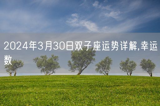 2024年3月30日双子座运势详解,幸运数(图1)