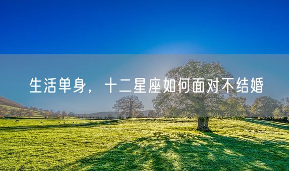 生活单身，十二星座如何面对不结婚(图1)