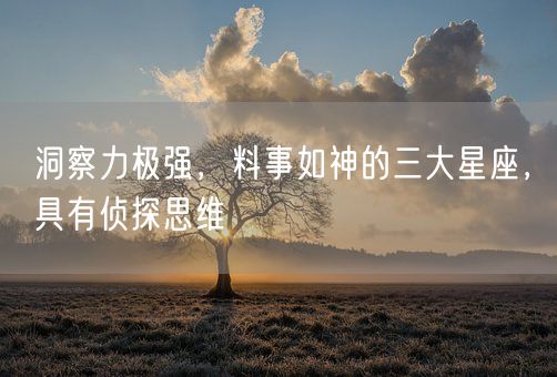 洞察力极强，料事如神的三大星座，具有侦探思维(图1)