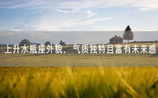 上升水瓶座外貌，气质独特且富有未来感(图1)