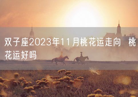 双子座2023年11月桃花运走向  桃花运好吗(图1)