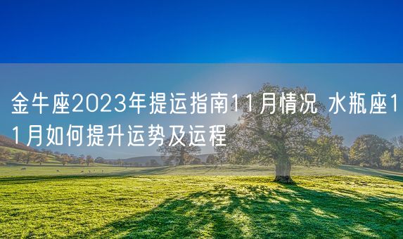 金牛座2023年提运指南11月情况 水瓶座11月如何提升运势及运程(图1)