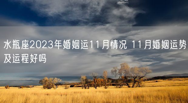 水瓶座2023年婚姻运11月情况 11月婚姻运势及运程好吗(图1)