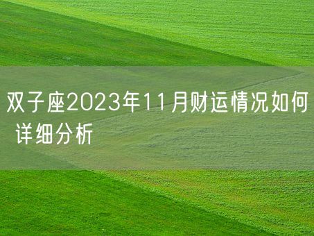 双子座2023年11月财运情况如何 详细分析(图1)