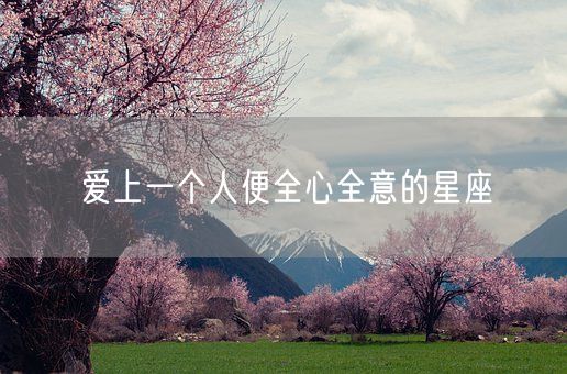 爱上一个人便全心全意的星座(图1)