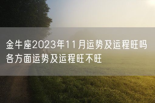 金牛座2023年11月运势及运程旺吗 各方面运势及运程旺不旺(图1)