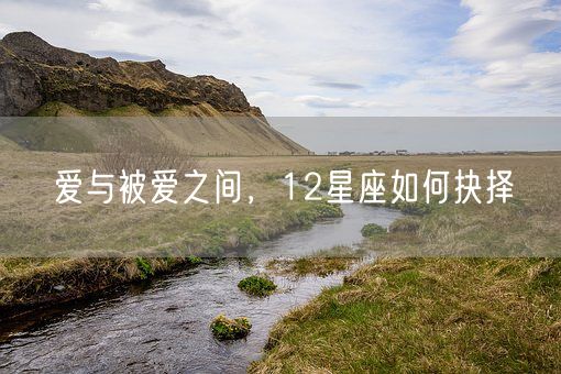 爱与被爱之间，12星座如何抉择(图1)