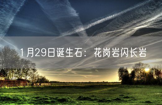 1月29日诞生石：花岗岩闪长岩(图1)