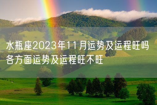 水瓶座2023年11月运势及运程旺吗 各方面运势及运程旺不旺(图1)