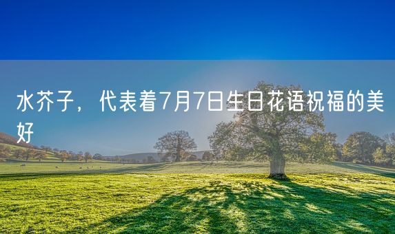 水芥子，代表着7月7日生日花语祝福的美好(图1)