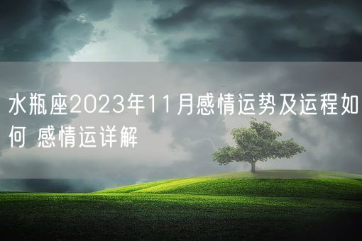 水瓶座2023年11月感情运势及运程如何 感情运详解(图1)