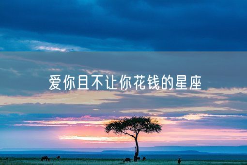 爱你且不让你花钱的星座(图1)