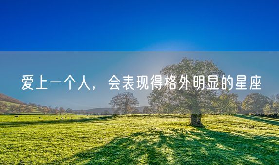 爱上一个人，会表现得格外明显的星座(图1)