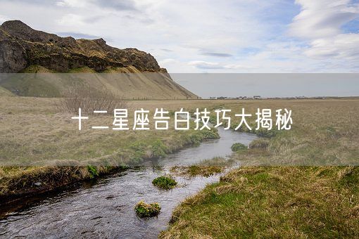 十二星座告白技巧大揭秘(图1)