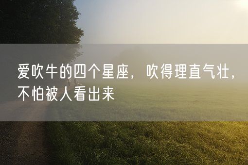 爱吹牛的四个星座，吹得理直气壮，不怕被人看出来(图1)