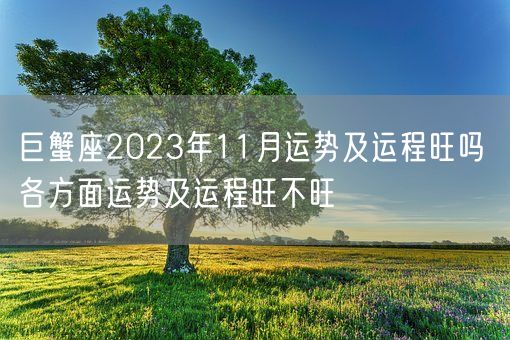 巨蟹座2023年11月运势及运程旺吗 各方面运势及运程旺不旺(图1)