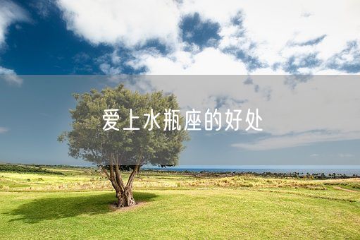 爱上水瓶座的好处(图1)