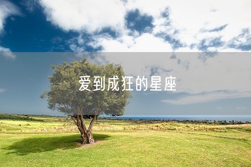 爱到成狂的星座(图1)