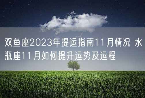 双鱼座2023年提运指南11月情况 水瓶座11月如何提升运势及运程(图1)