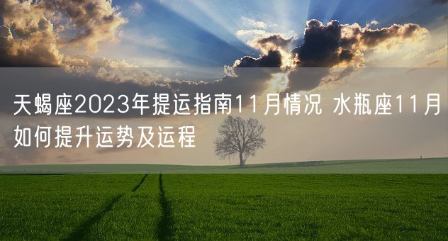 天蝎座2023年提运指南11月情况 水瓶座11月如何提升运势及运程(图1)