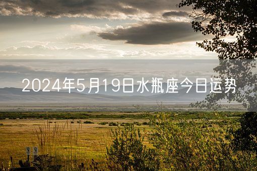 2024年5月19日水瓶座今日运势(图1)