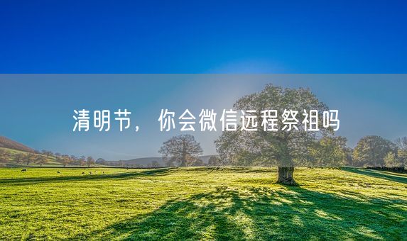 清明节，你会微信远程祭祖吗(图1)