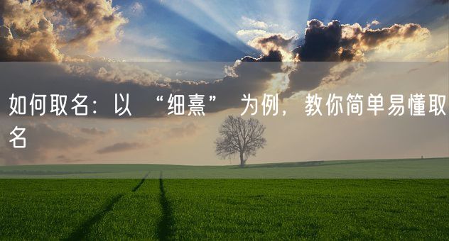 如何取名：以 “细熹” 为例，教你简单易懂取名(图1)