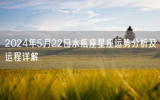 2024年5月22日水瓶座星座运势分析及运程详解(图1)