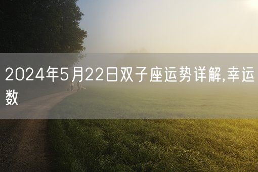 2024年5月22日双子座运势详解,幸运数(图1)